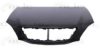 LEXUS 533010E020 Bonnet